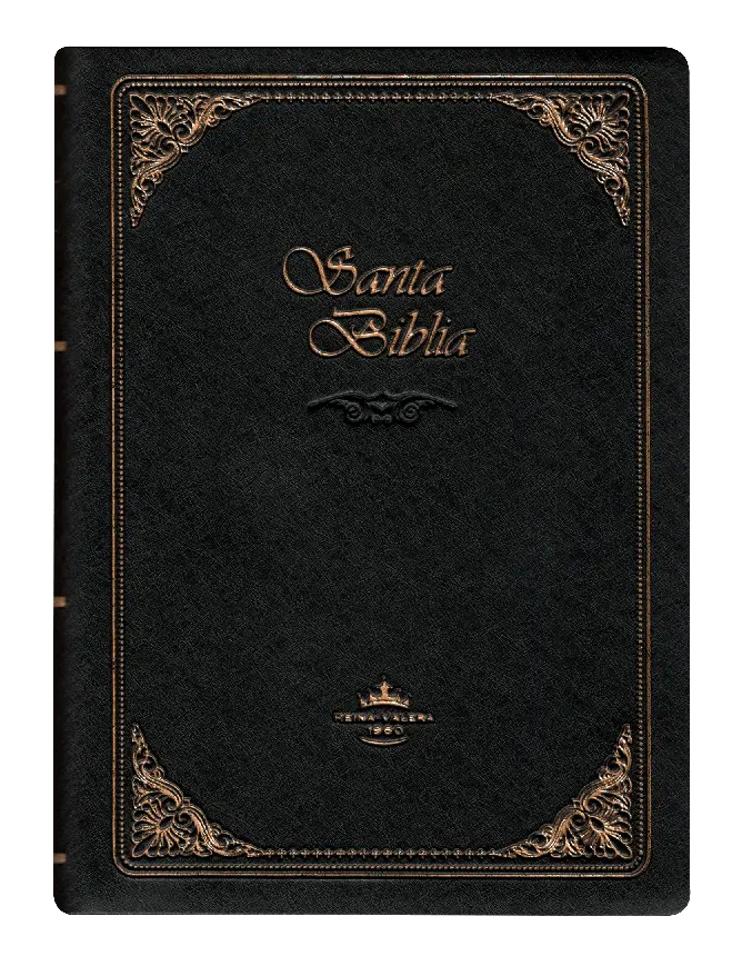 PORTADA (16).webp