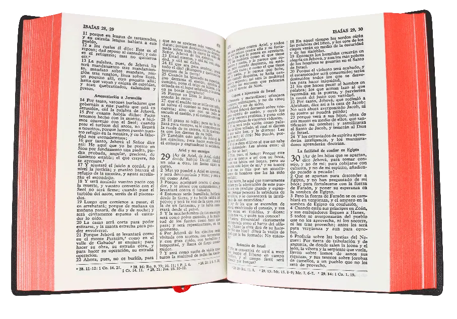 CONTENIDO (14).webp