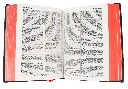 CONTENIDO (14).webp
