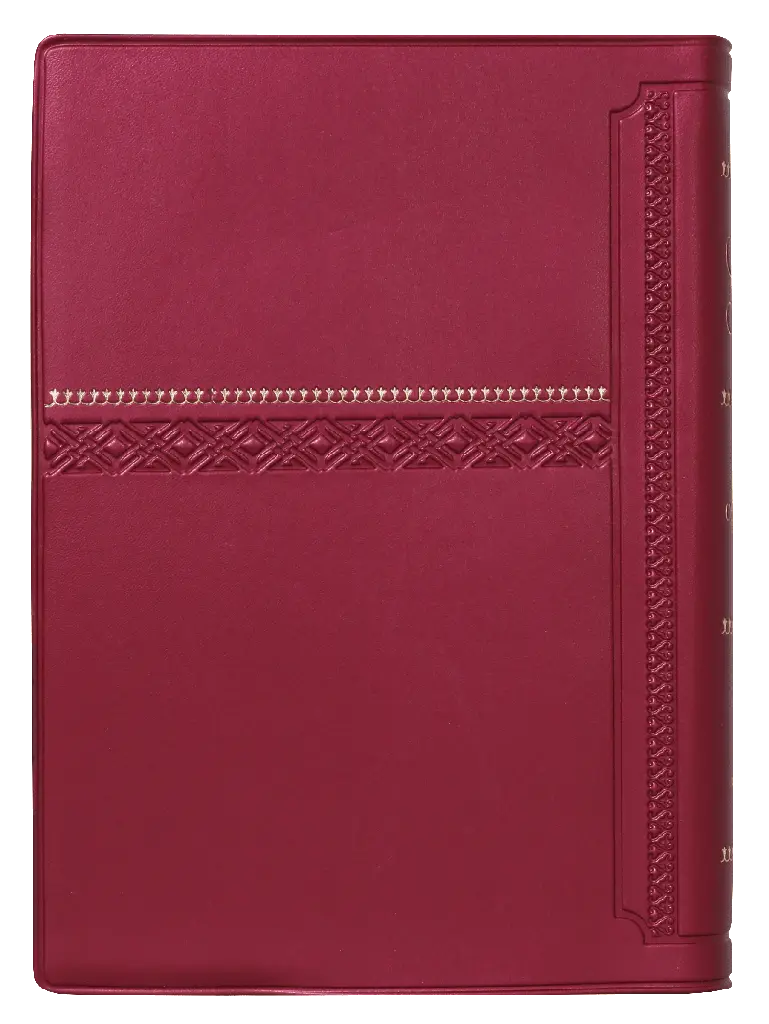 CONTRAPORTADA (17).webp