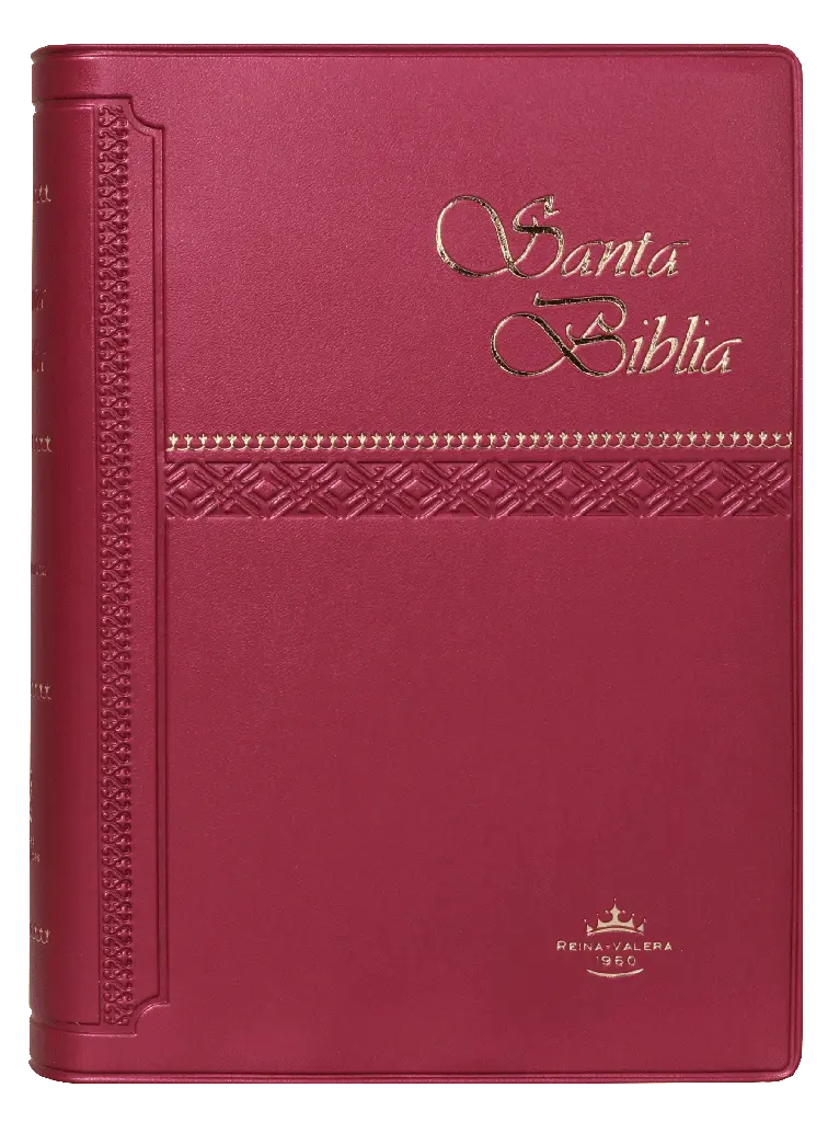 PORTADA (17).webp