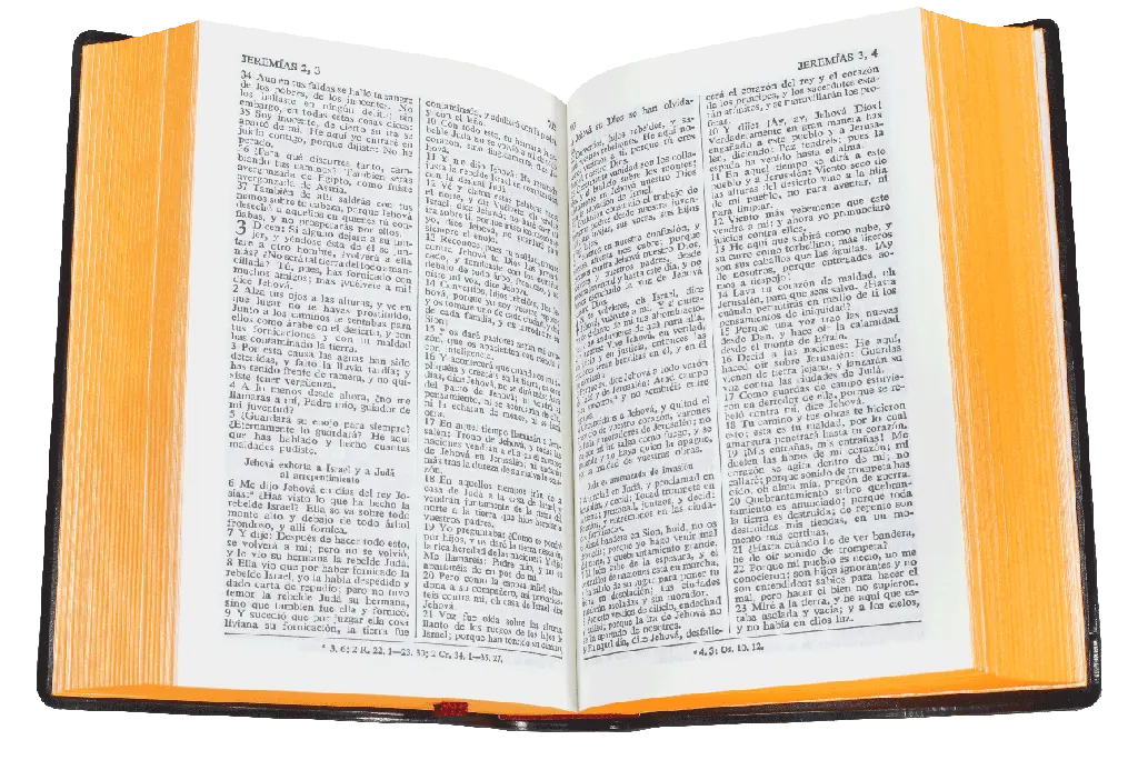 CONTENIDO (15).webp
