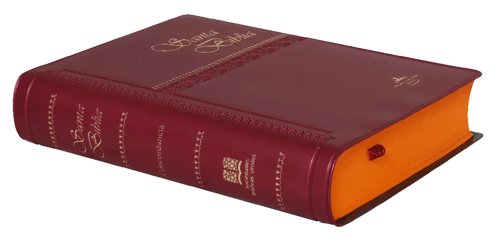 PERFIL (11).webp