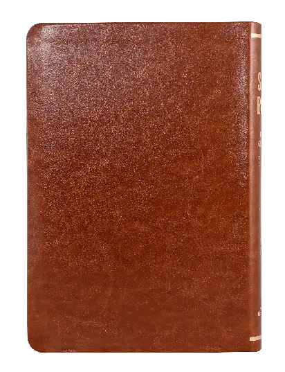 CONTRAPORTADA (18).webp