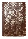 PORTADA (18).webp