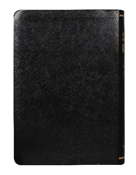 CONTRAPORTADA (20).webp