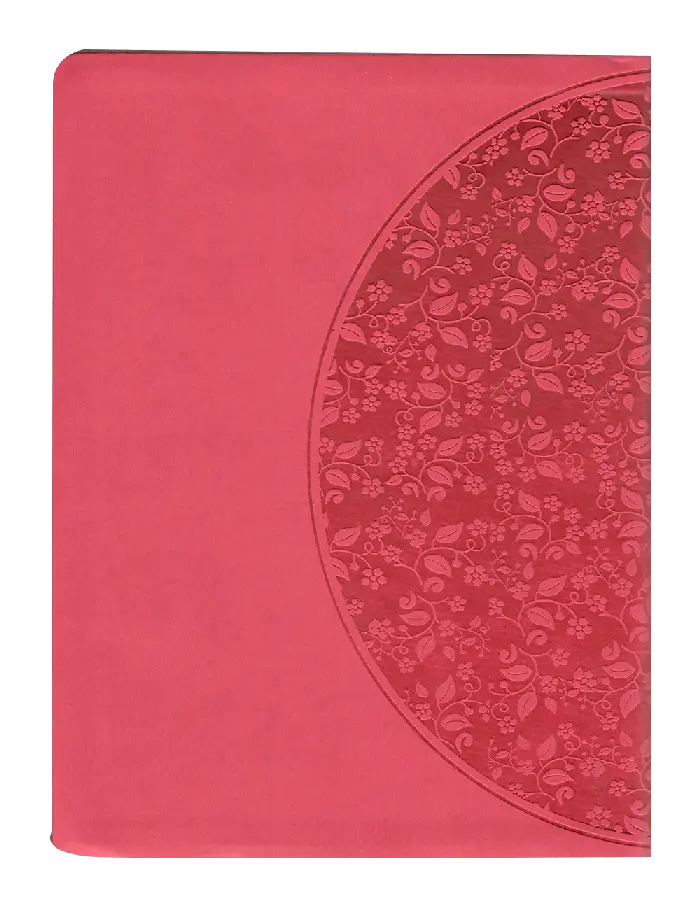 CONTRAPORTADA (22).webp