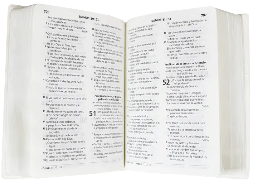 CONTENIDO (19).webp