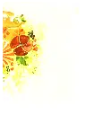 CONTRAPORTADA (23).webp