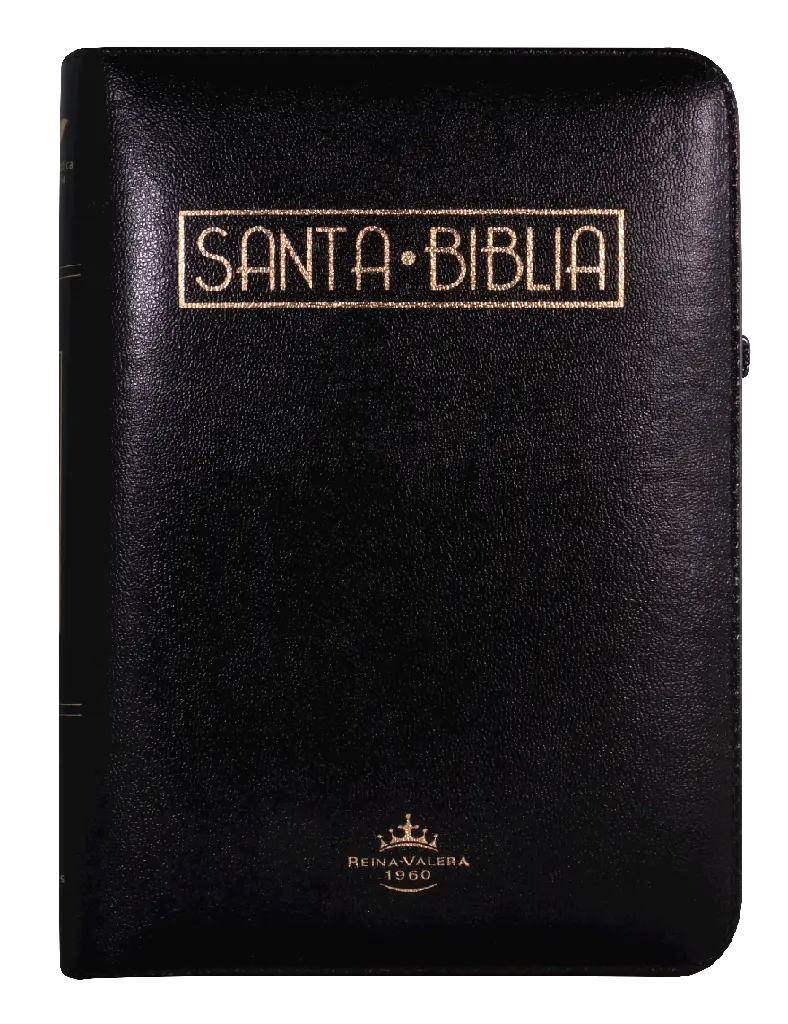 BIBLIA LETRA GRANDE ACOLCHADA NEGRO RVR055cZTILGaPJR (1).webp