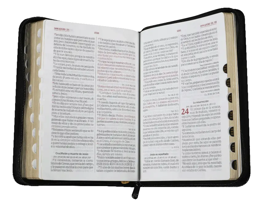BIBLIA LETRA GRANDE ACOLCHADA NEGRO RVR055cZTILGaPJR.webp