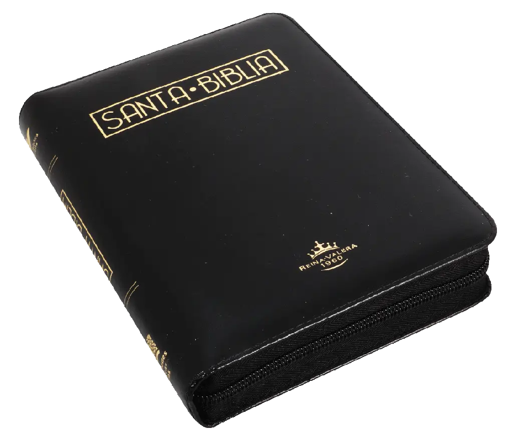 BIBLIA LETRA GRANDE ACOLCHADA NEGRO RVR055cZTILGaPJR (3).webp