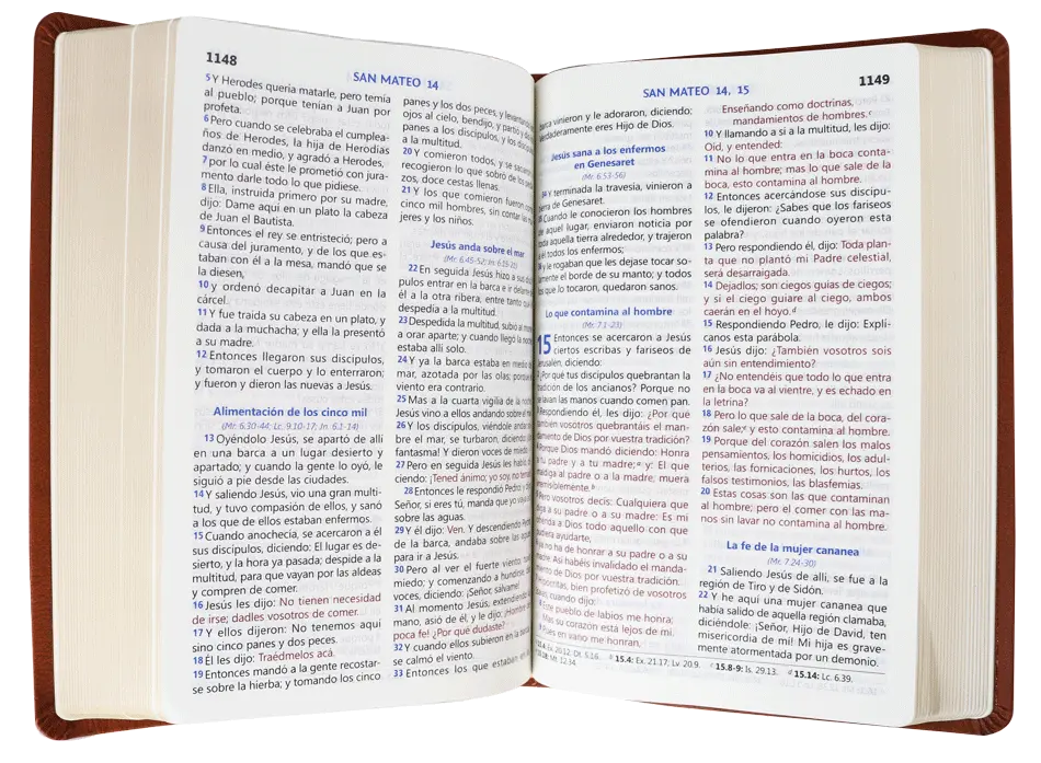 CONTENIDO (20).webp