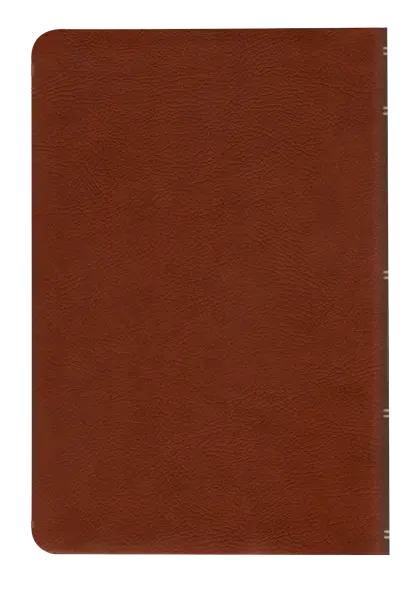 CONTRAPORTADA (24).webp