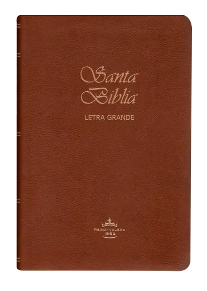 PORTADA (24).webp
