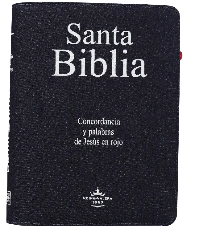PORTADA (29).webp