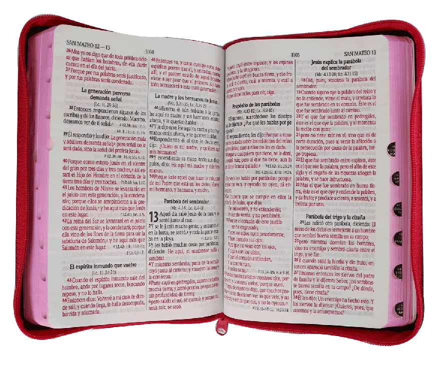 CONTENIDO (21).webp