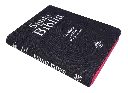 PERFIL (21).webp