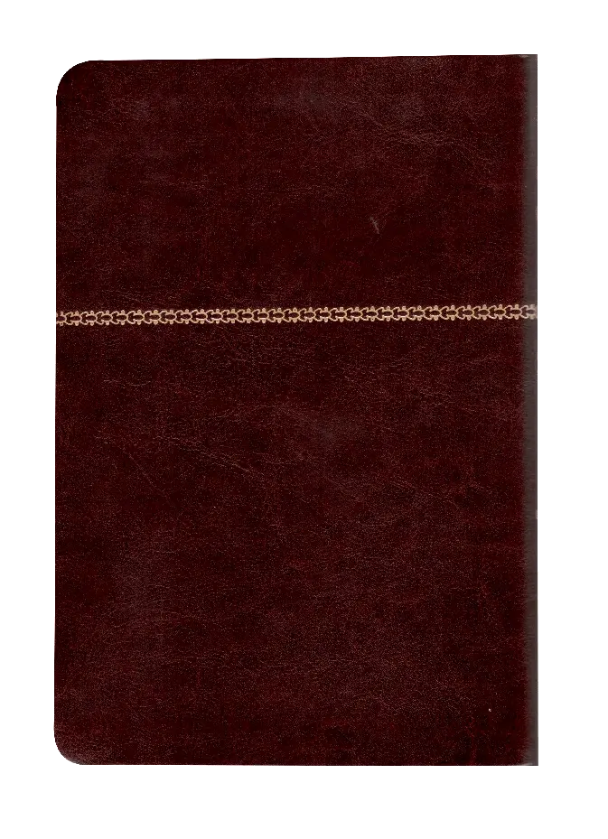 CONTRAPORTADA (30).webp