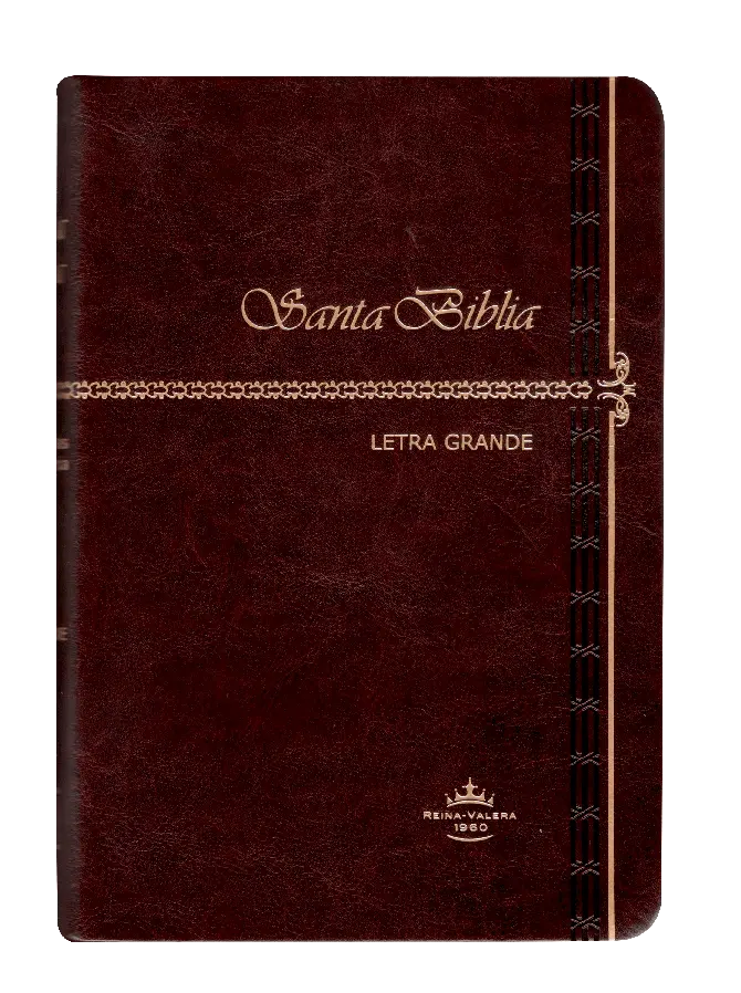 PORTADA (30).webp