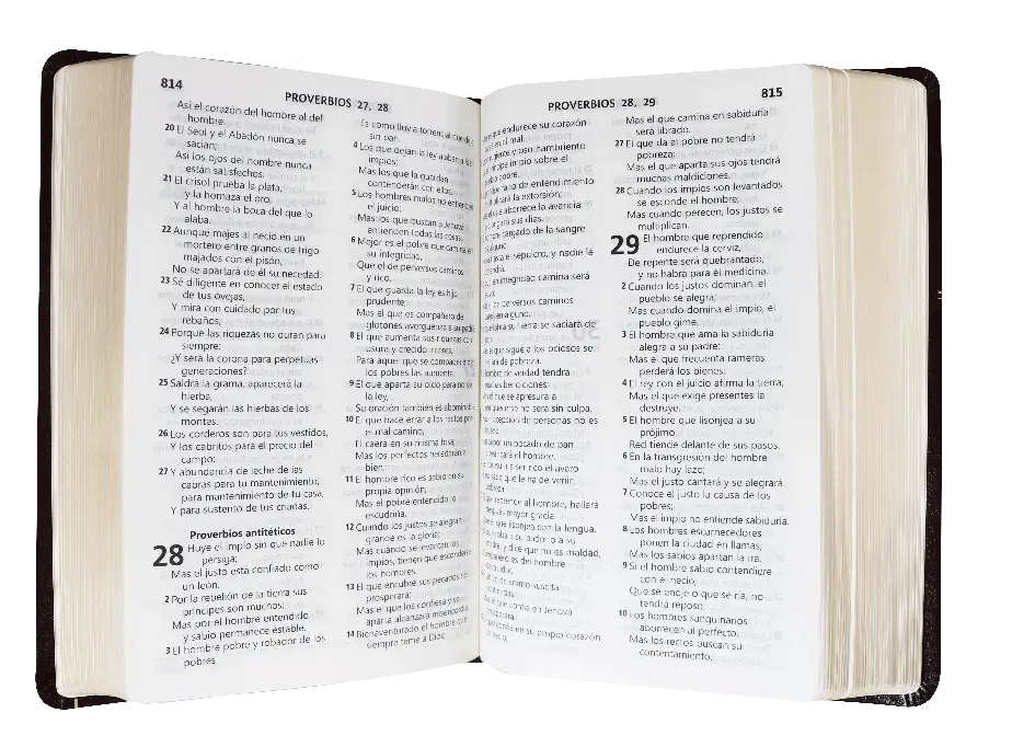 CONTENIDO (22).webp