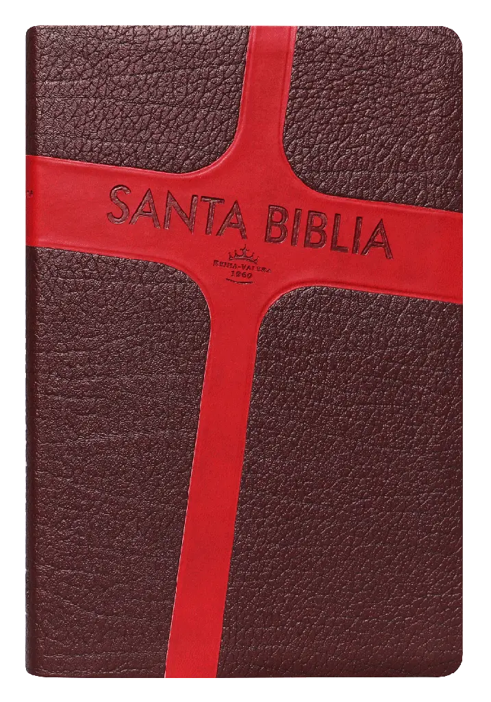 PORTADA (31).webp
