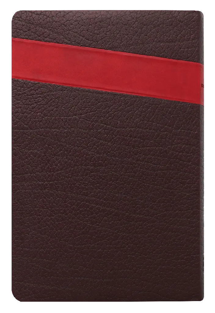 CONTRAPORTADA (31).webp