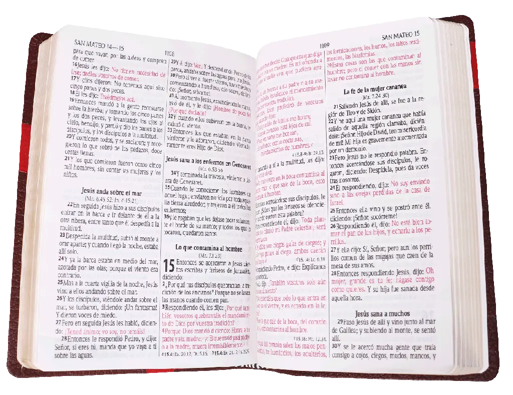 CONTENIDO (23).webp