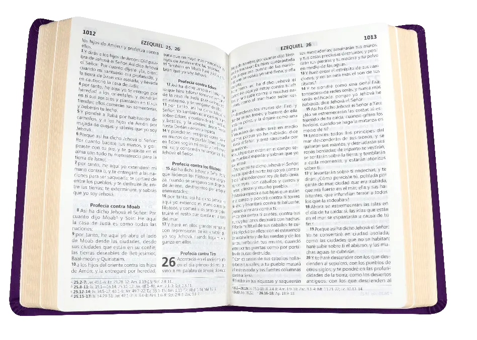 CONTENIDO (24).webp