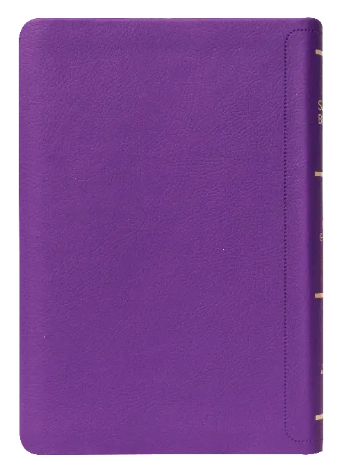 CONTRAPORTADA (32).webp