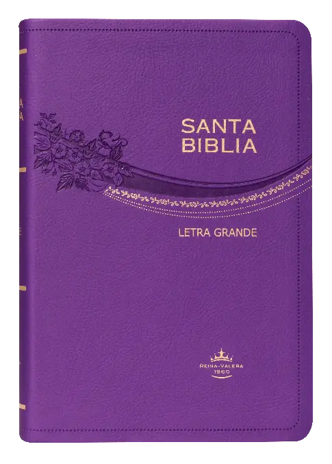 PORTADA (32).webp