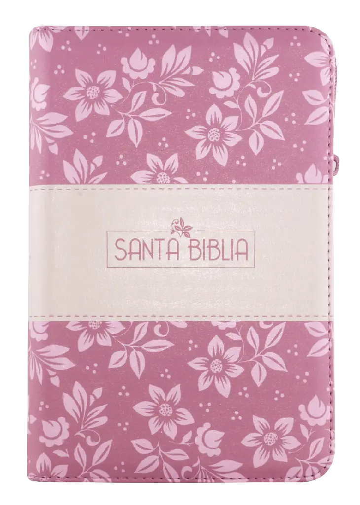 BIBLIA LETRA GRANDE ROSA RVR065cZLGPJR (1).webp