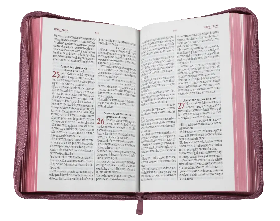 BIBLIA LETRA GRANDE ROSA RVR065cZLGPJR.webp