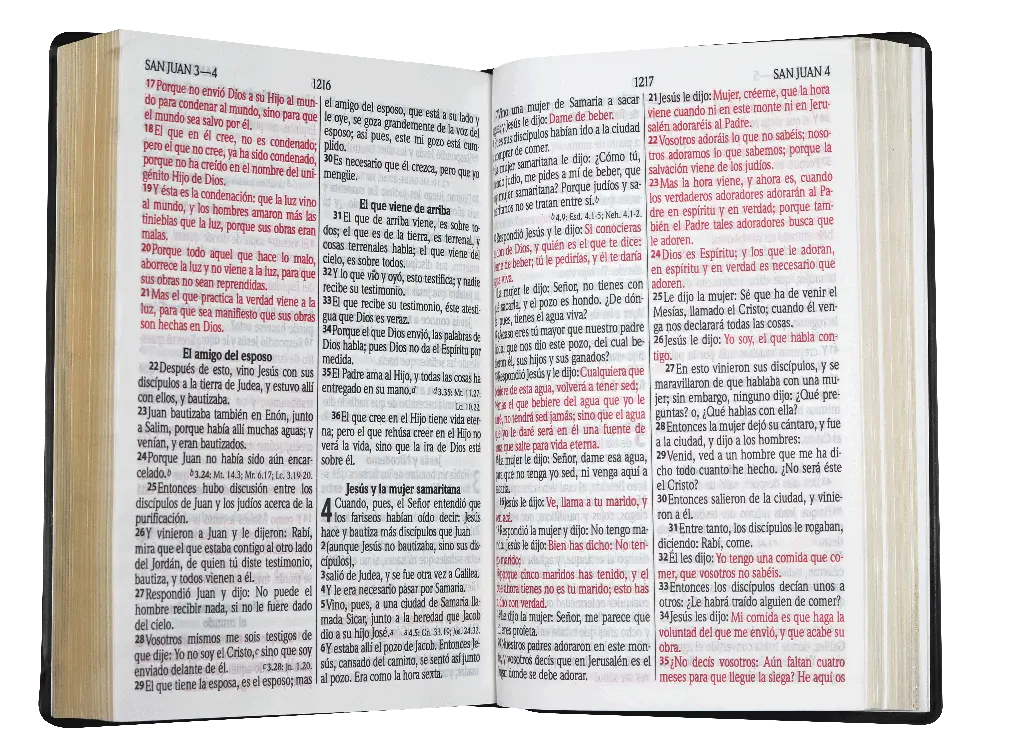 Biblia Reina Valera 1960 Letra Grande Negro [RVR062CLGPJR].webp
