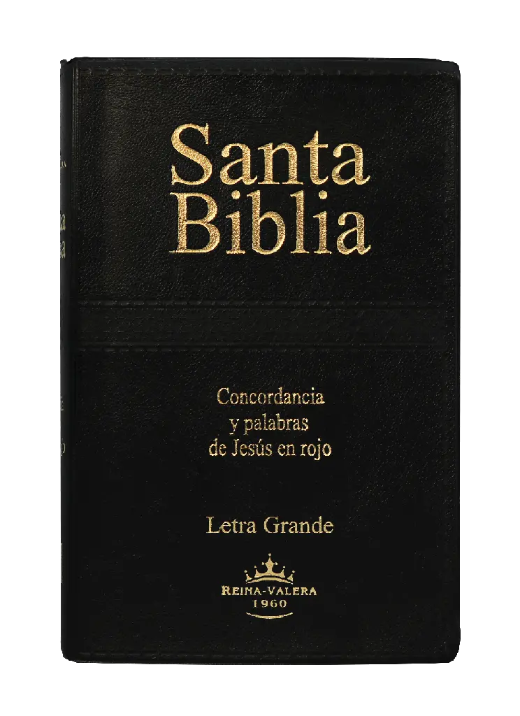 Biblia Reina Valera 1960 Letra Grande Negro [RVR062CLGPJR] (1).webp