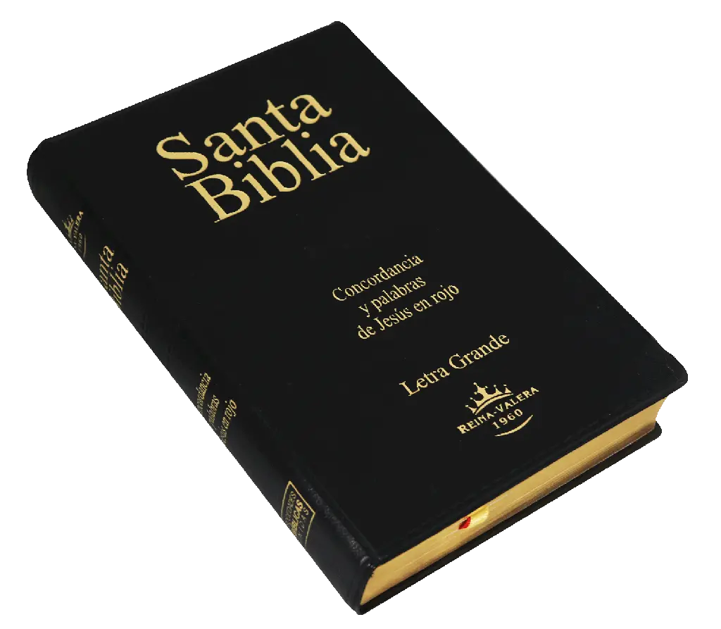Biblia Reina Valera 1960 Letra Grande Negro [RVR062CLGPJR] (3).webp