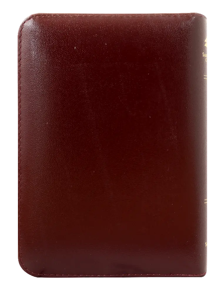 CONTRAPORTADA (33).webp