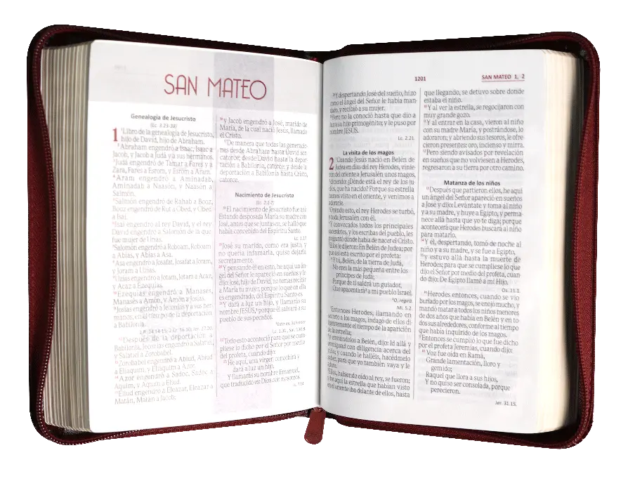 INTERIOR (6).webp
