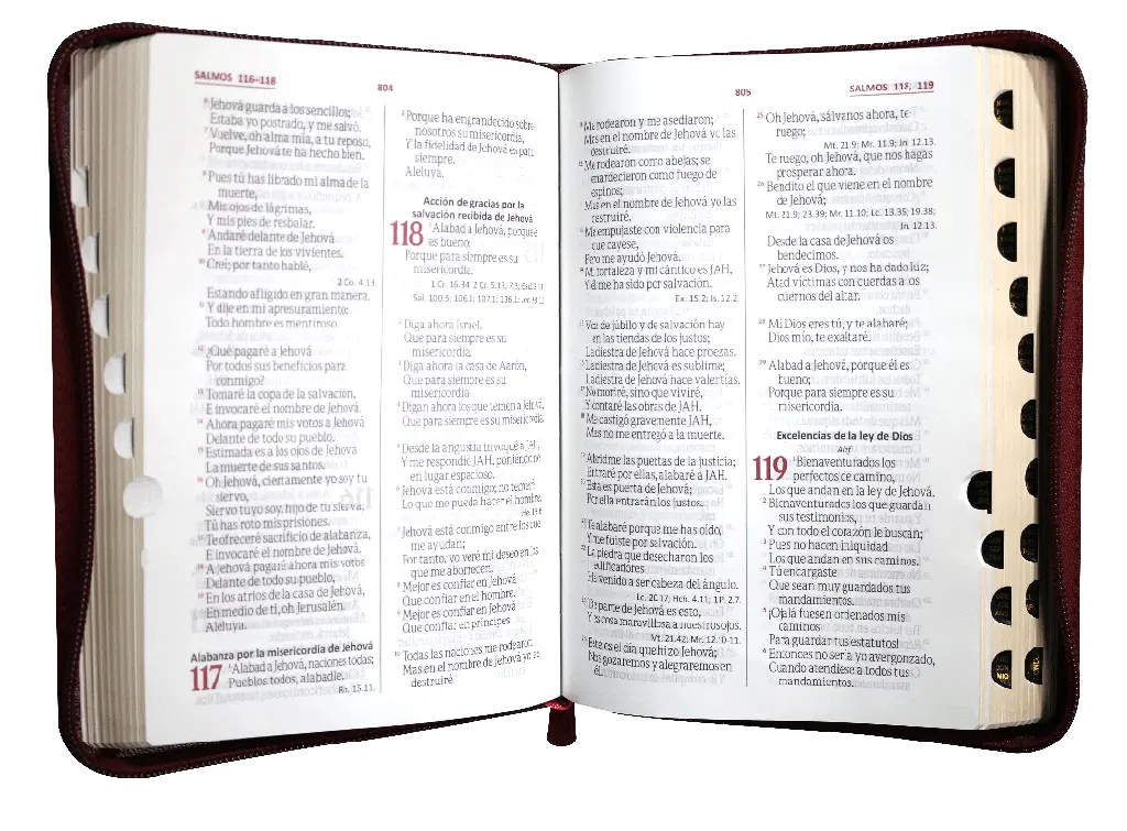 INTERIOR (7).webp