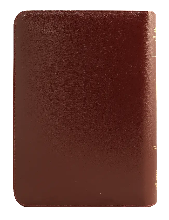 CONTRAPORTADA (34).webp