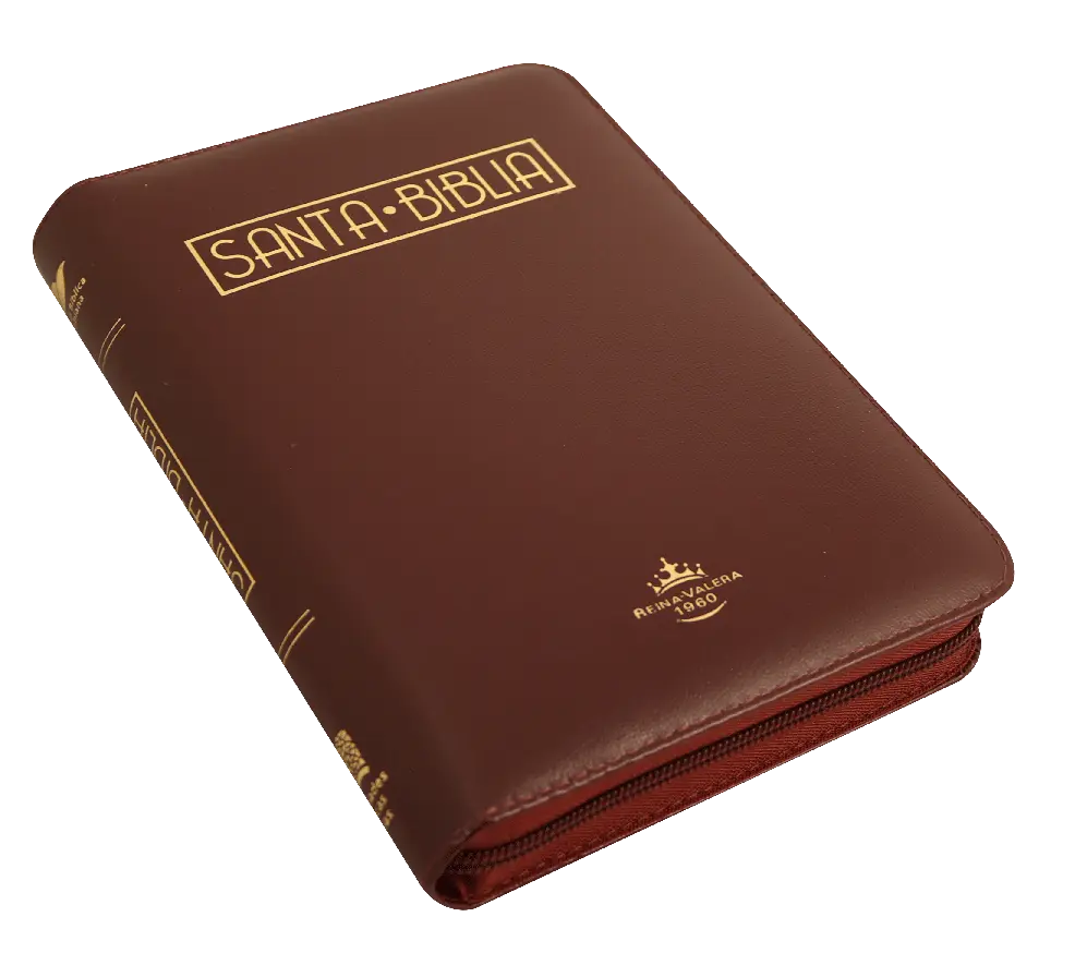 CONTRAPORTADA (35).webp