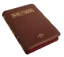 CONTRAPORTADA (35).webp
