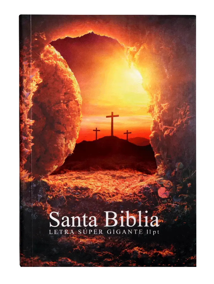 PORTADA (36).webp