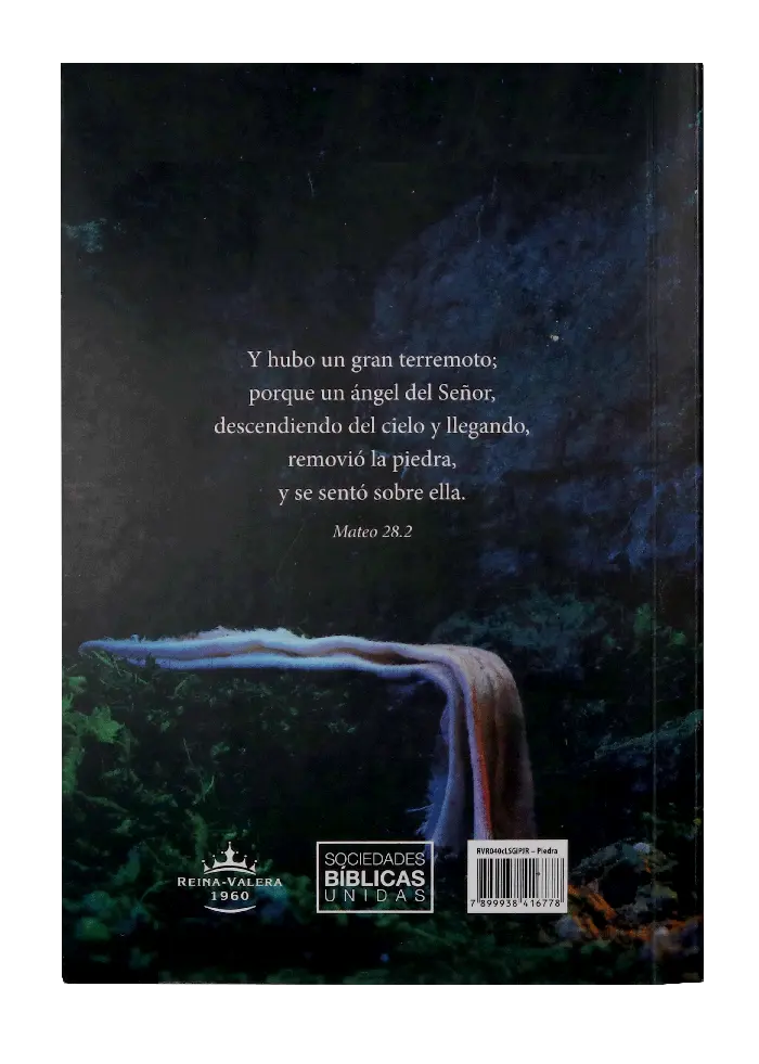 CONTRAPORTADA (37).webp