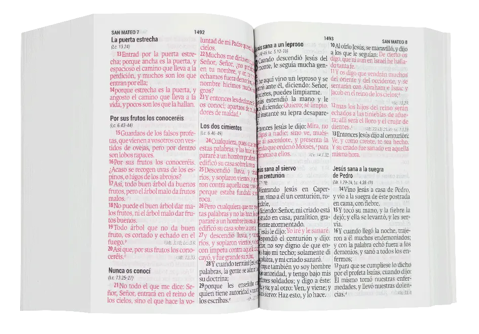 CONTENIDO (25).webp