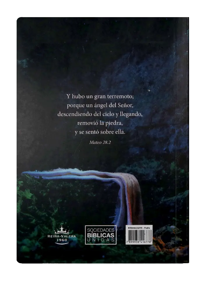 CONTRAPORTADA (38).webp