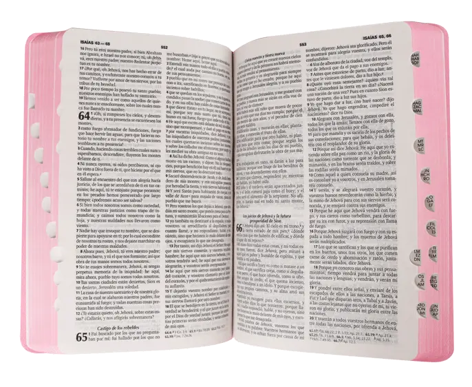 CONTENIDO (26).webp