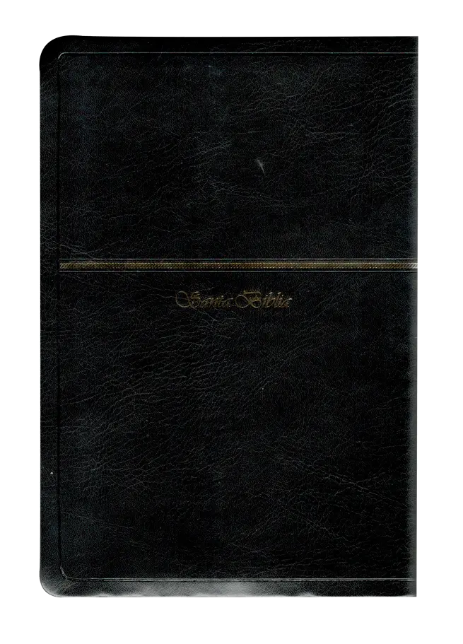 CONTRAPORTADA (40).webp