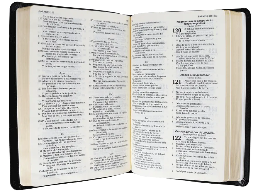 CONTENIDO (27).webp