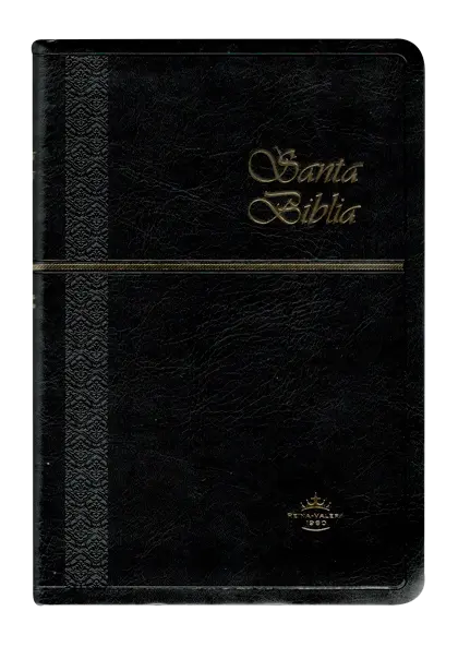 PORTADA (39).webp
